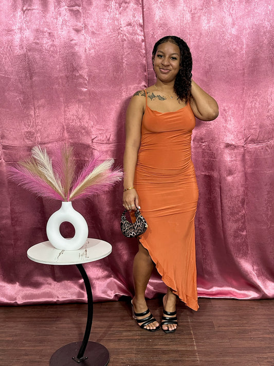 PRINCESS DIARY  DRESS