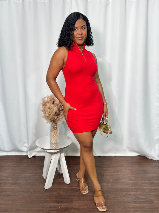 ZIPPER MINI DRESS