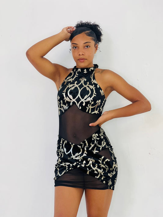 TAKE MY LEAD MESH MINI DRESS